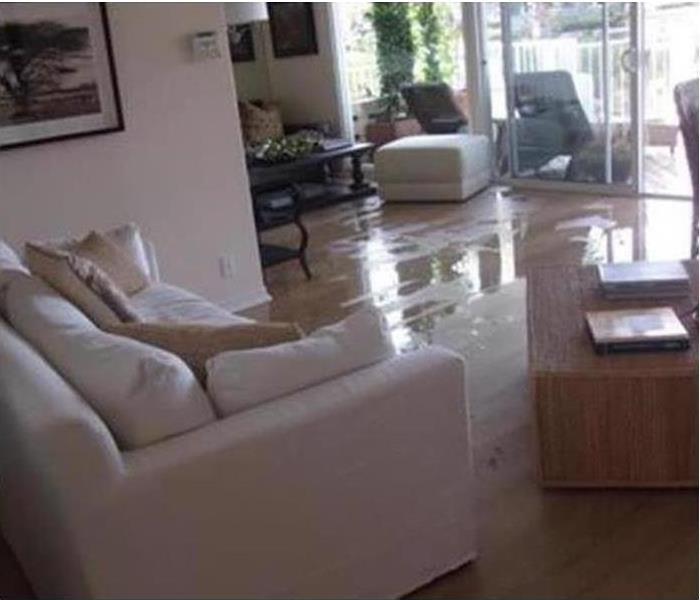 Standing water in a living room. Concept of a flooded home or water damage
